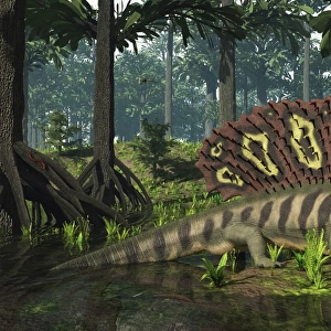 An Edaphosaurus forages in a brackish mangrove like swamp
