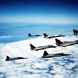 Four F-14 Tomcats and three F-5 Tiger IIs in flight