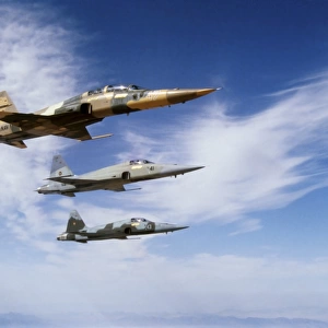 An F-5F Tiger II leads two F-5Es during a training flight