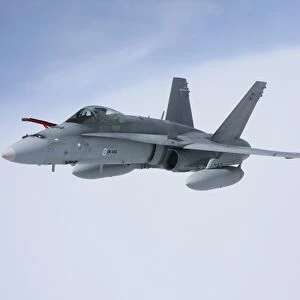 F / A-18 Hornet of the Finnish Air Force