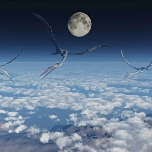 Giant Quetzalcoatlus pterosaurs flying above the clouds