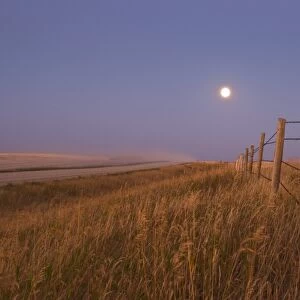 Harvest Moon down the road, Gleichen, Alberta, Canada