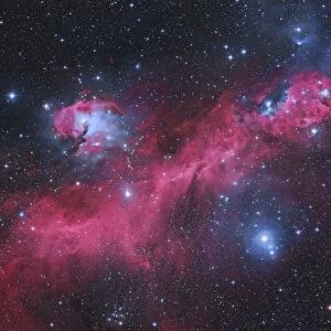 IC 2177, the Seagull Nebula