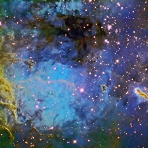 IC 410, The Tadpole Nebula