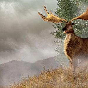 An Irish Elk stands in deep grass on a foggy hillside