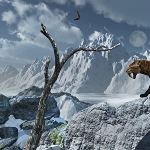 A lone Sabre-Toothed Tiger in a cold Pleistocene winter landscape