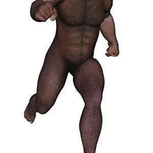 Male homo erectus running