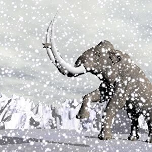Mammoth walking through a blizzard on mountain