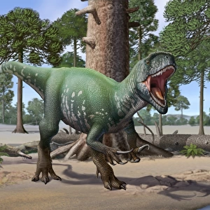 A Megaraptor lets out a vicious roar