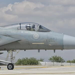 Nose cone of a Royal Saudi Air Force F-15C