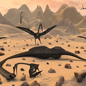 Quetzalcoatlus pterosaurs gather around the dead body of a young sauropod dinosaur
