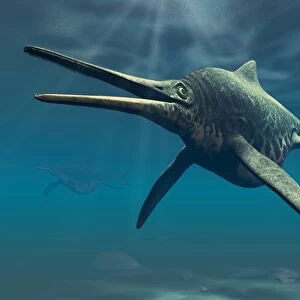 Shonisaurus was a genus of ichthyosaur from the Triassic period
