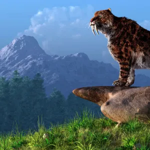 Smilodon on a mountainside