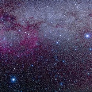 The southern Milky Way and the extensive Gum Nebula complex