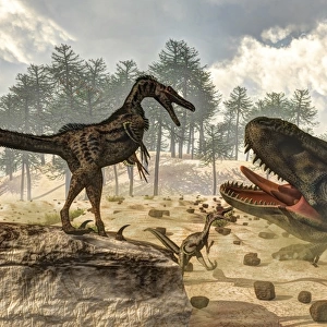 Tarbosaurus attacked by a group of Velociraptor dinosaurs