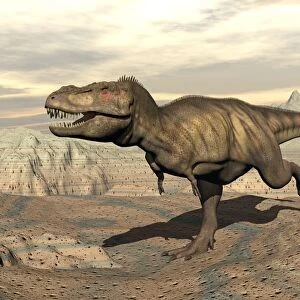 Tyrannosaurus Rex dinosaur running across rocky terrain