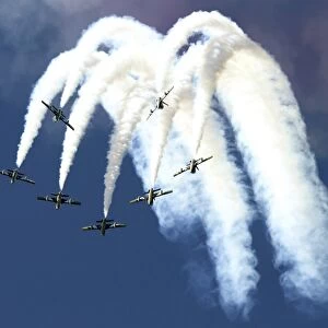 The United Arab Emirates Al Fursan aerobatic team
