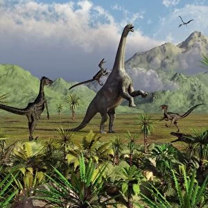 Velociraptor dinosaurs attack a Camarasaurus for their next meal
