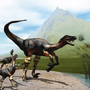 Velociraptor offspring beg mother dinosaur for food near a pond