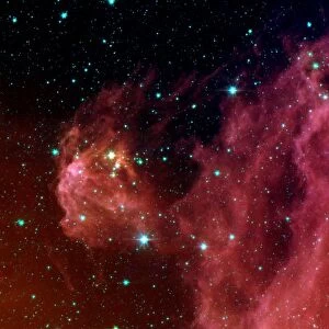 Young stars emerge from Orions head