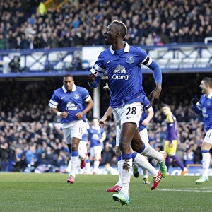Everton's Lacina Traore Scores Thrilling Opening Goal in FA Cup Fifth Round Clash Against Swansea City (16-02-2014)