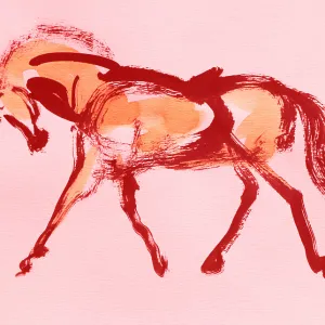 Animals155
