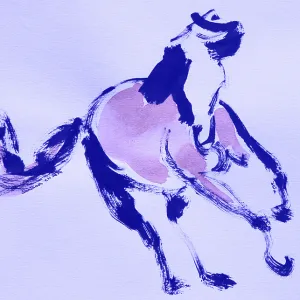 Animals157