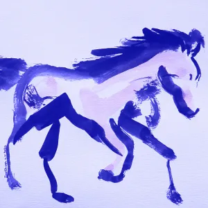 Animals161