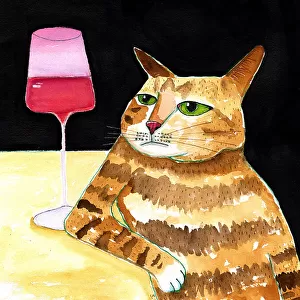 Cat Friday Night Drinks Wine Funny Cat Humour