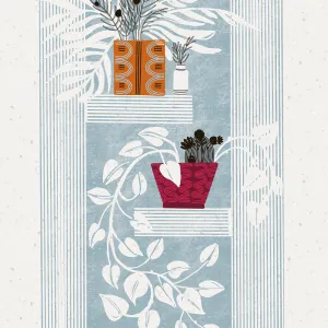 Shelved Serenity