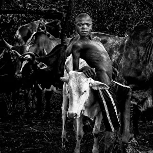 Surma tribe boy taking care of the cattle