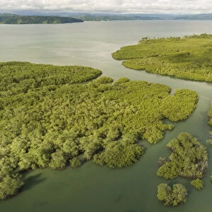 Aerial view of Mangrove forest, Osa Peninsula, Costa Rica, May 2017