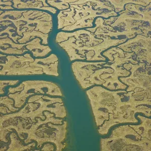 Aerial view of river tributaries, saltmarsh and coast, Punta Umbria, Costa de la Luz