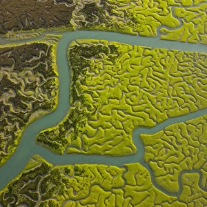 Aerial view of the rivers and saltmarshes of the Bahia / Bay de Cadiz Natural Park