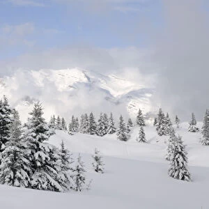 Alpine landscape after fresh snow, Hauteluce, Haute-Savoie, France, February 2013