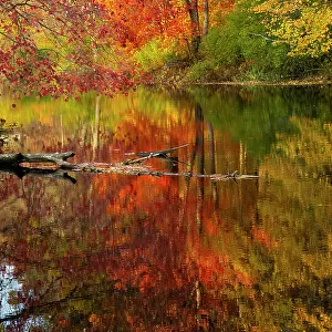 Autumn foliage along the Willimantic River; Ellington, Connecticut, USA. October, 2020