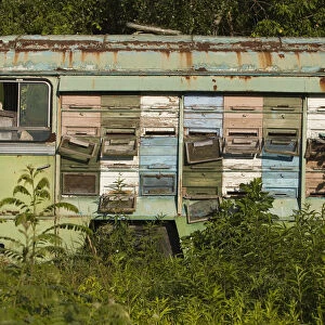 Bee keeping in an old bus containing the hives, cultivated border land between Croatia and Serbia