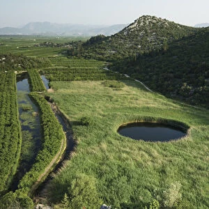 Cultivated part of the lower Neretva river delta with a sinkhole in marshland surrounded by Reeds
