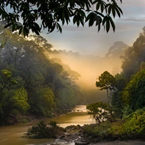 Dawn / sunrise over the Segama River, with mist hanging over lowland Dipterocarp rainforest