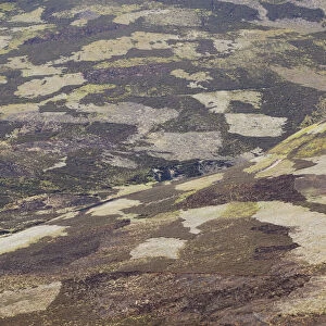 Patchwork of muirburn on moorland managed for grouse shooting, Cairngorms NP, Deeside