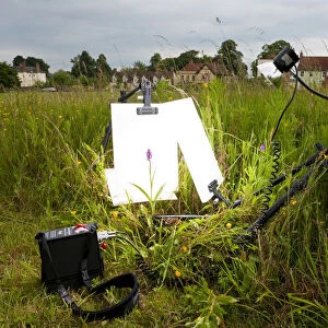 Photographer Niall Benvies outdoor studio set up on a village green for photographing