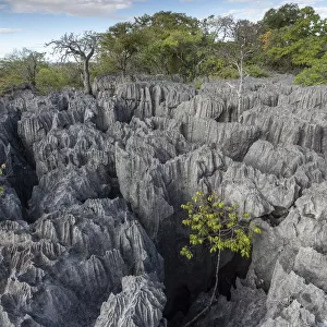 Rock formations at Tsingy Maeva, Ankarana NP, Madagascar