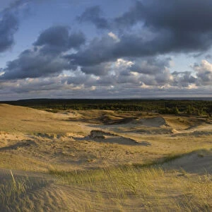 Sand dunes in evening light, Nagliai Nature Reserve, Curonian Spit, Lithuania, June 2009