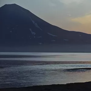Silhouette of Brown bear (Ursus arctos) beside Lake Kuril at dawn, Kamchatka, Far east Russia