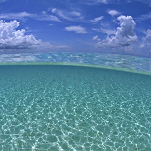 A split level view of shallow water and clouds in summer, Seven Mile Beach, Grand Cayman