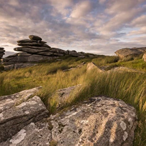 Stowes Hill in late evening light, Bodmin Moor, Cornwall, England, UK. July 2015