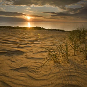 Sunrise over sand dunes on Agilos Kopa, Nagliai Nature Reserve, Curonian Spit, Lithuania