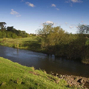 View of the River Till, part of area where The Tweed Foundation are monitoring the population