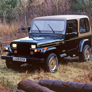 1994 Jeep Wrangler Limited. Creator: Unknown