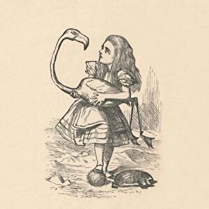 Alice tries to play croquet with a flamingo as a mallet, 1889. Artist: John Tenniel